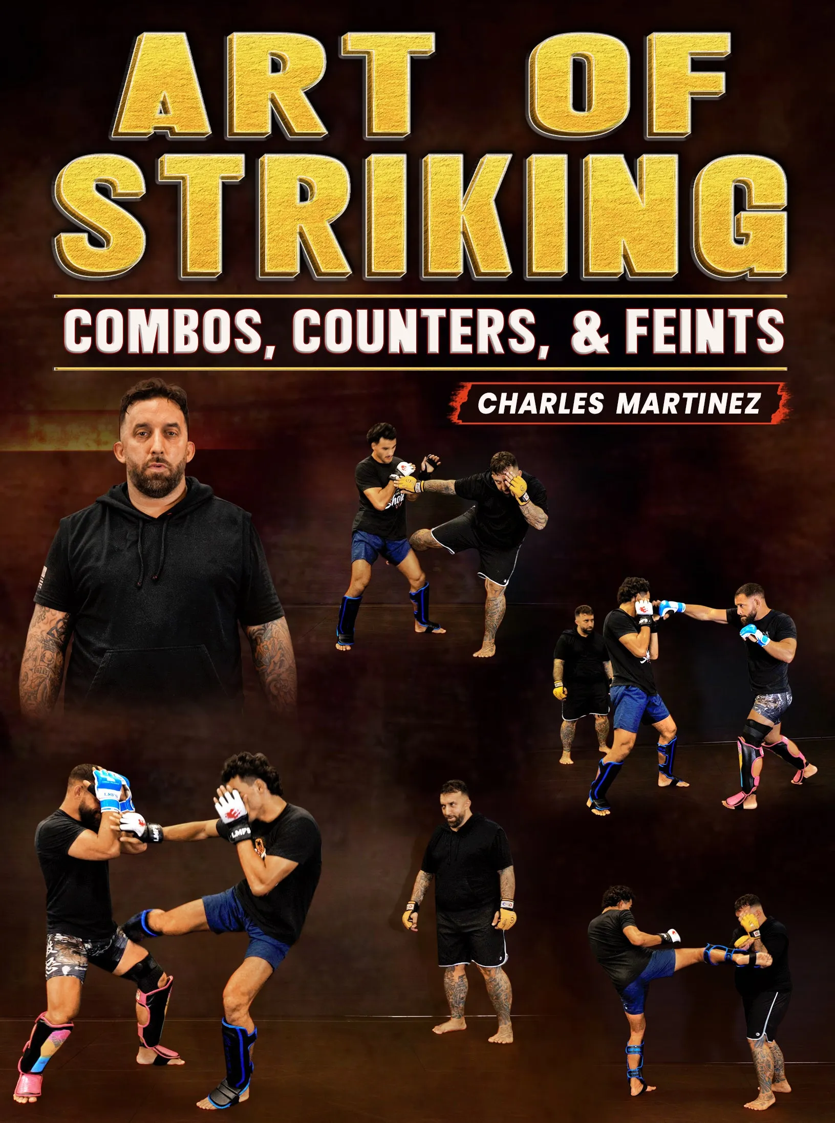 Art of Striking Combos, Counters, & Feints by Charles Martinez