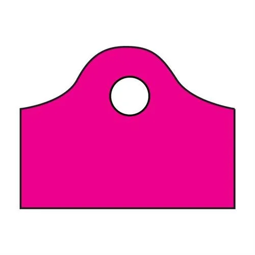 Frosted Super Wave Bags 12 x 11 x 4 - (Sizzling Pink)